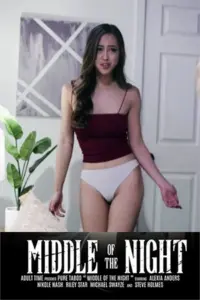 Middle of the Night Gece Yarısı 2026